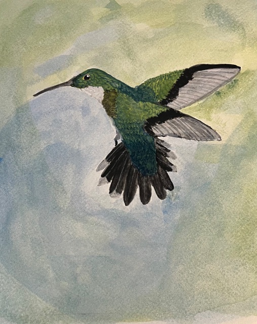 Hummingbird