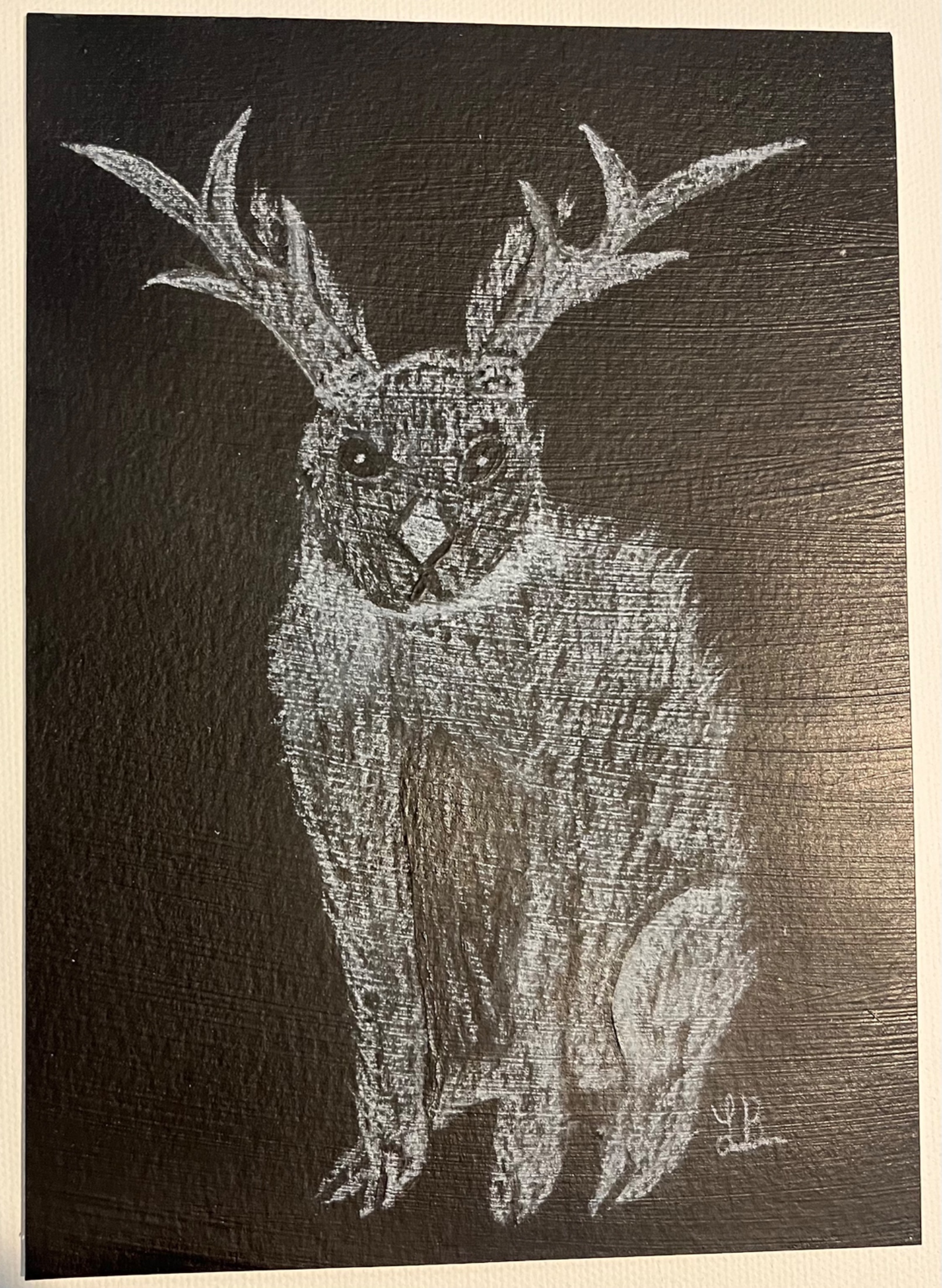 Jackalope